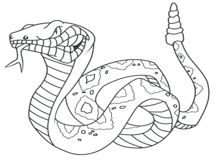 728x546 Snake Easy Pencil And In Color Snake Easy Free Coloring Coloring