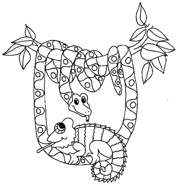 600x616 Snakes Coloring Pages Snake Coloring Pages Be Friend With Snake