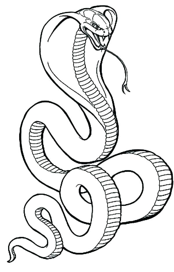 600x937 Coloring Page Snake Coloring Page Snake New Year Snake Coloring