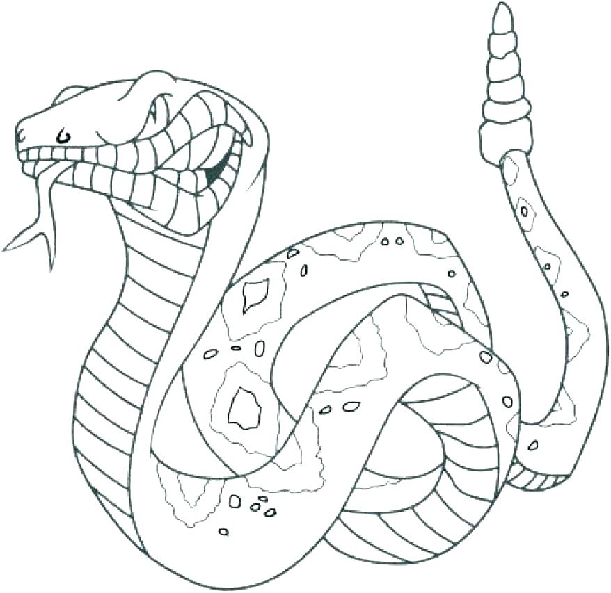 878x853 Coloring Pages Of A Snake Garter Snake Coloring Page New Year