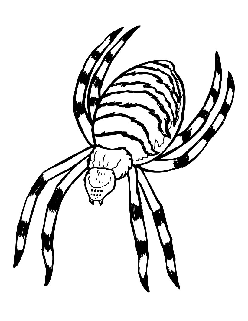 820x1060 Scary Spider