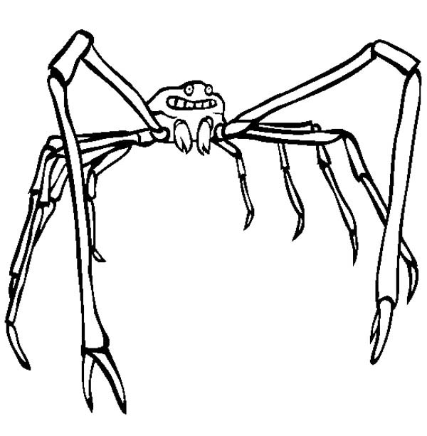 600x612 Free Printable Coloring Pages