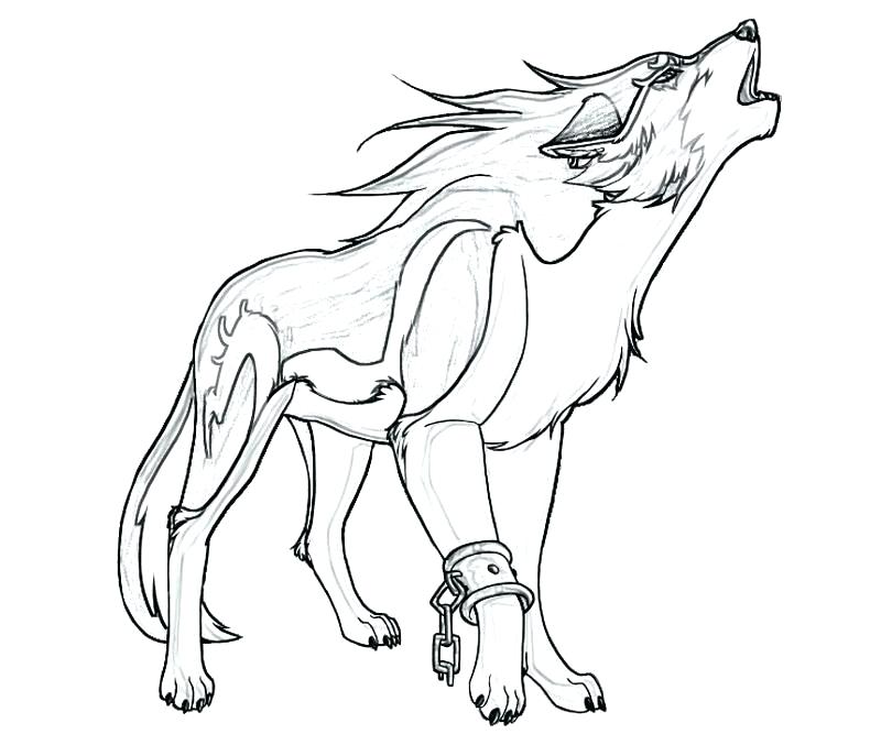 800x667 Werewolf Coloring Pages Coloring Page Of A Wolf Wolf Pack Coloring