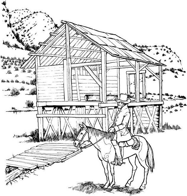 630x658 37 Best Coloring Pages Images On Adult Coloring