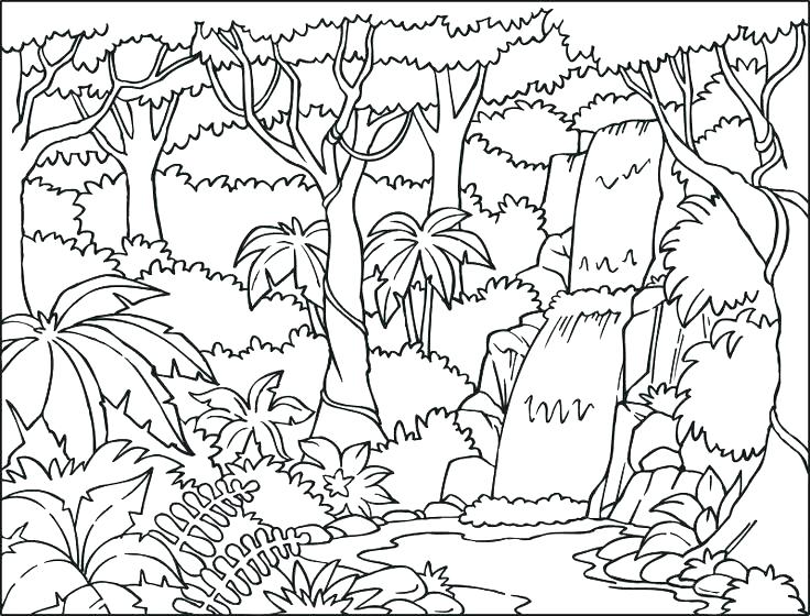 736x560 Coloring Pages Nature Scenery Coloring Pages Nature Scene Coloring