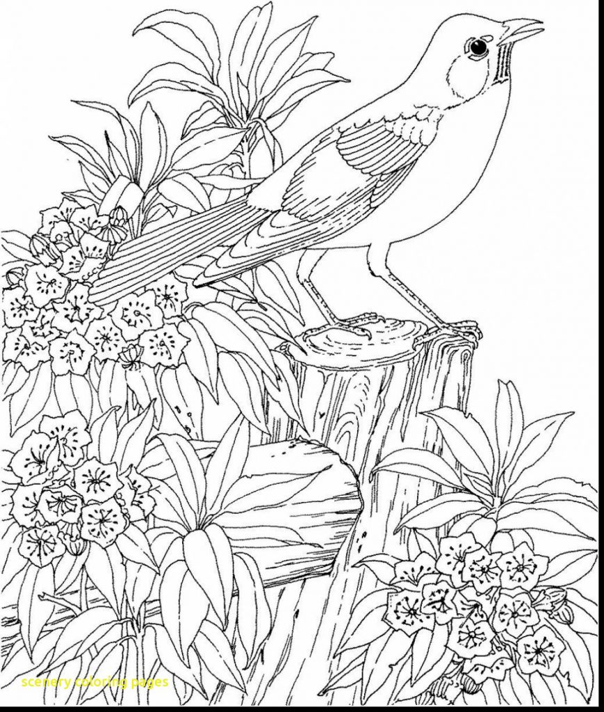 869x1024 Coloringage 1600x1128 Winter Sceneryages Mountain Christmas Scenes