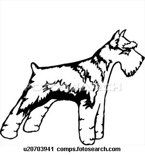 300x320 Giant Schnauzer Coloring Pagesdog Coloring Pages