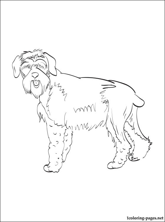 560x750 Giant Schnauzer Coloring Page Coloring Pages
