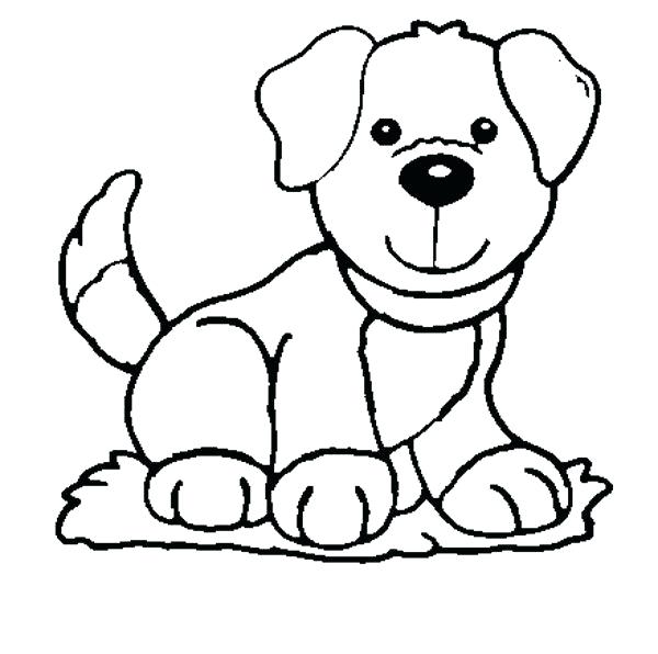 600x596 Schnauzer Coloring Page Picture Miniature Schnauzer Coloring Pages