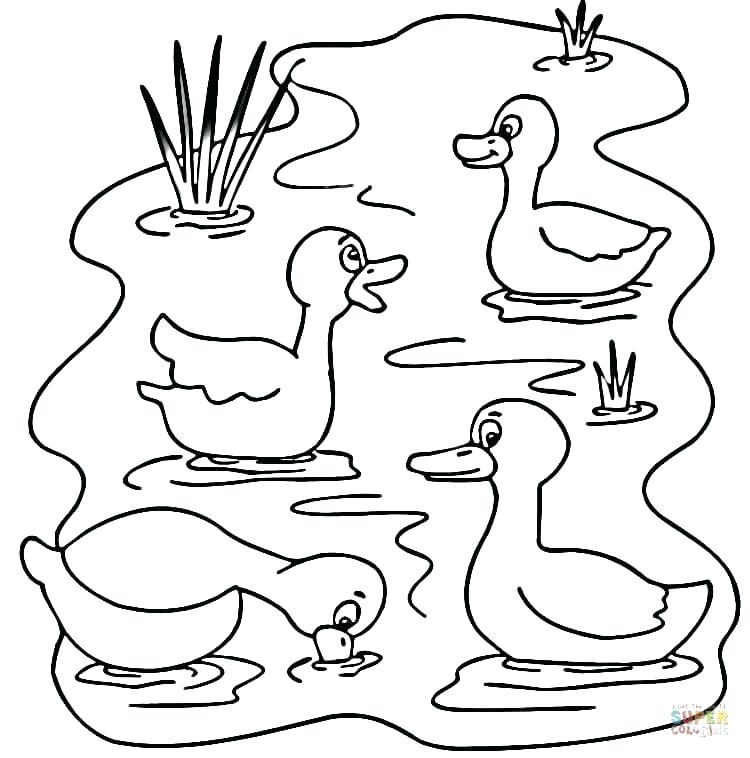 750x758 Schnauzer Coloring Page Printable Drawings And Coloring Pages