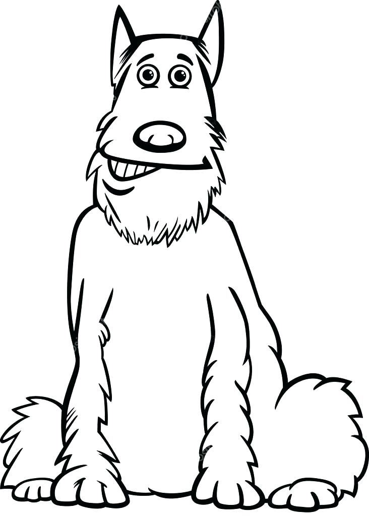 732x1023 Shaggy Coloring Page Schnauzer Coloring Page Black And White