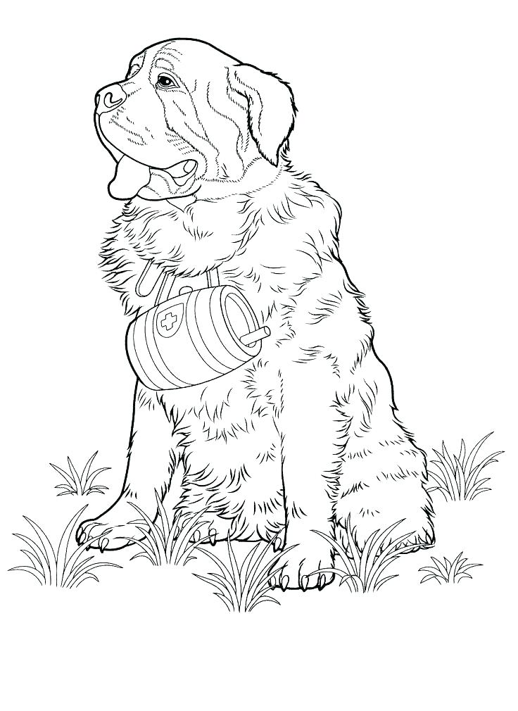 736x1010 Dog Breeds Coloring Pages Fuhrer Von