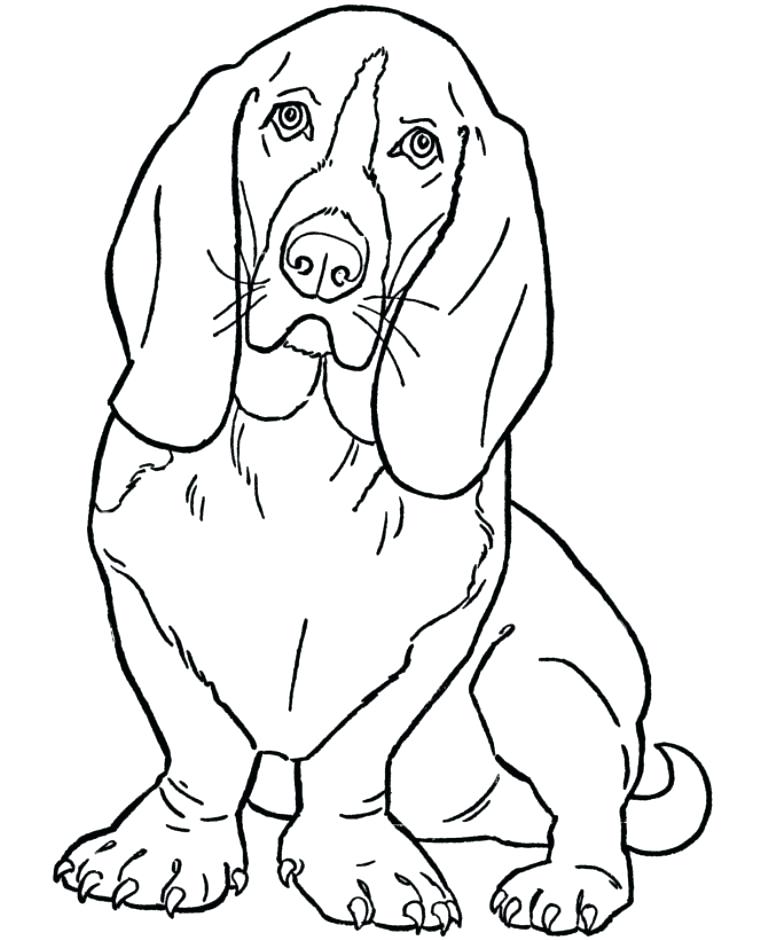 768x940 Dog Printable Coloring Pages Free Coloring Pages Dogs Schnauzer