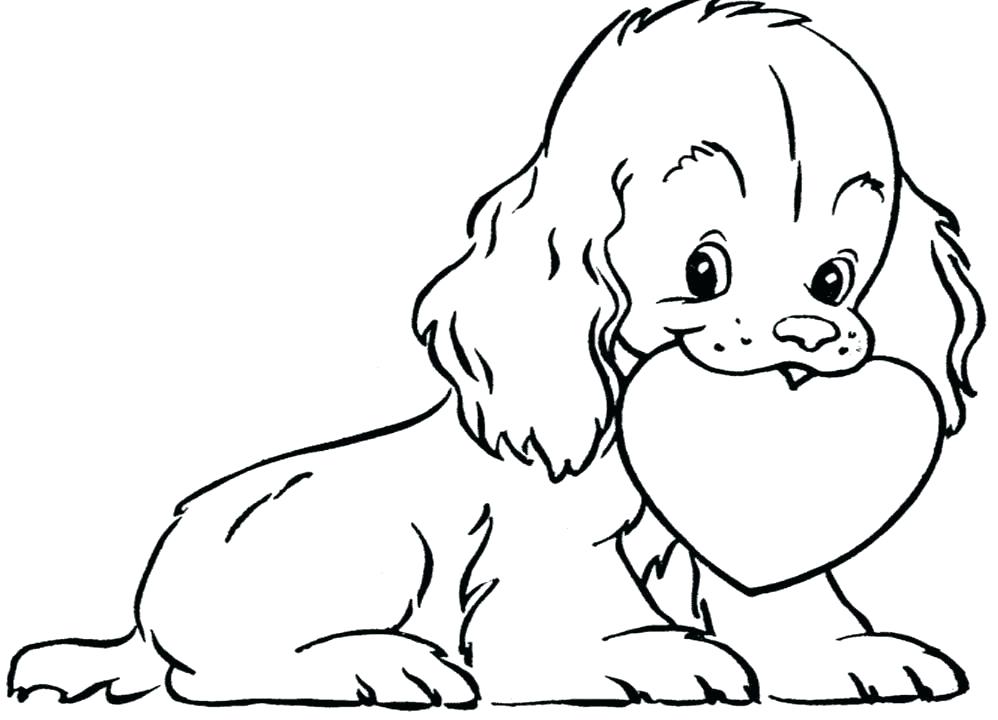 998x720 Dog With A Blog Coloring Pages Free Coloring Pages Dogs Schnauzer