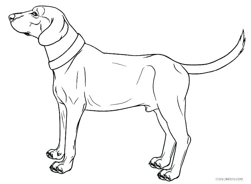 800x589 Free Coloring Pages Dogs Dog Printable Coloring Pages Free