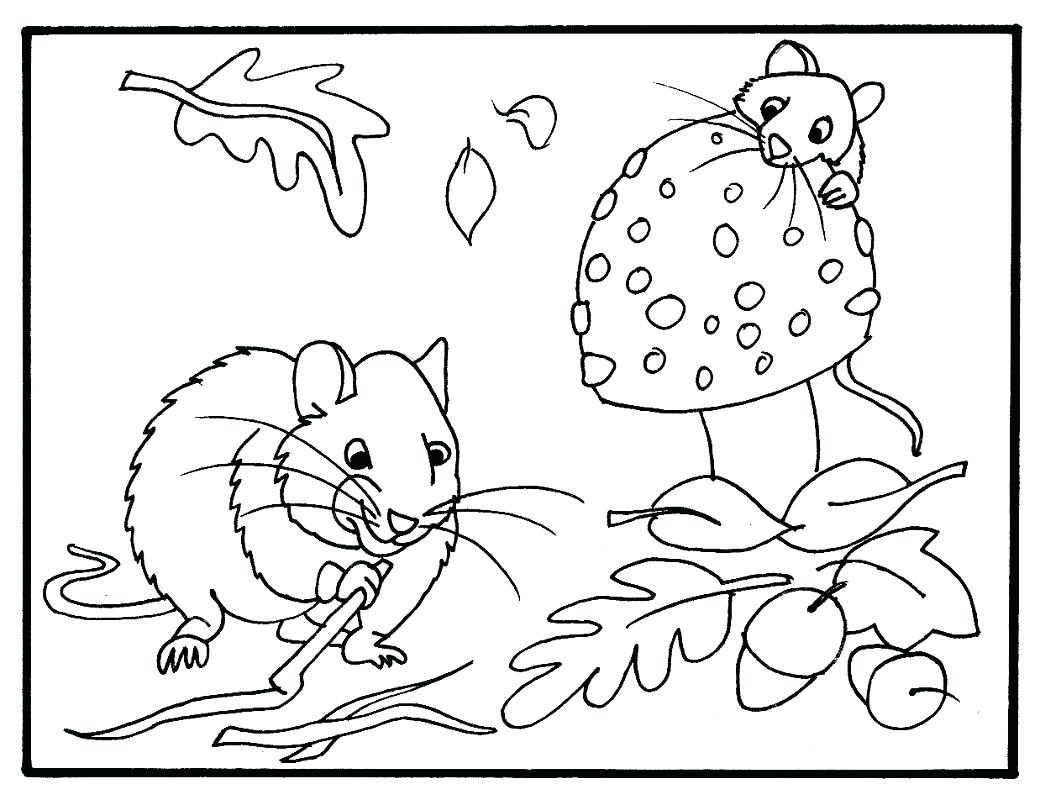 1040x800 Coloring Pages ~ Fall Coloring Page Adult Autumn Pages Printable