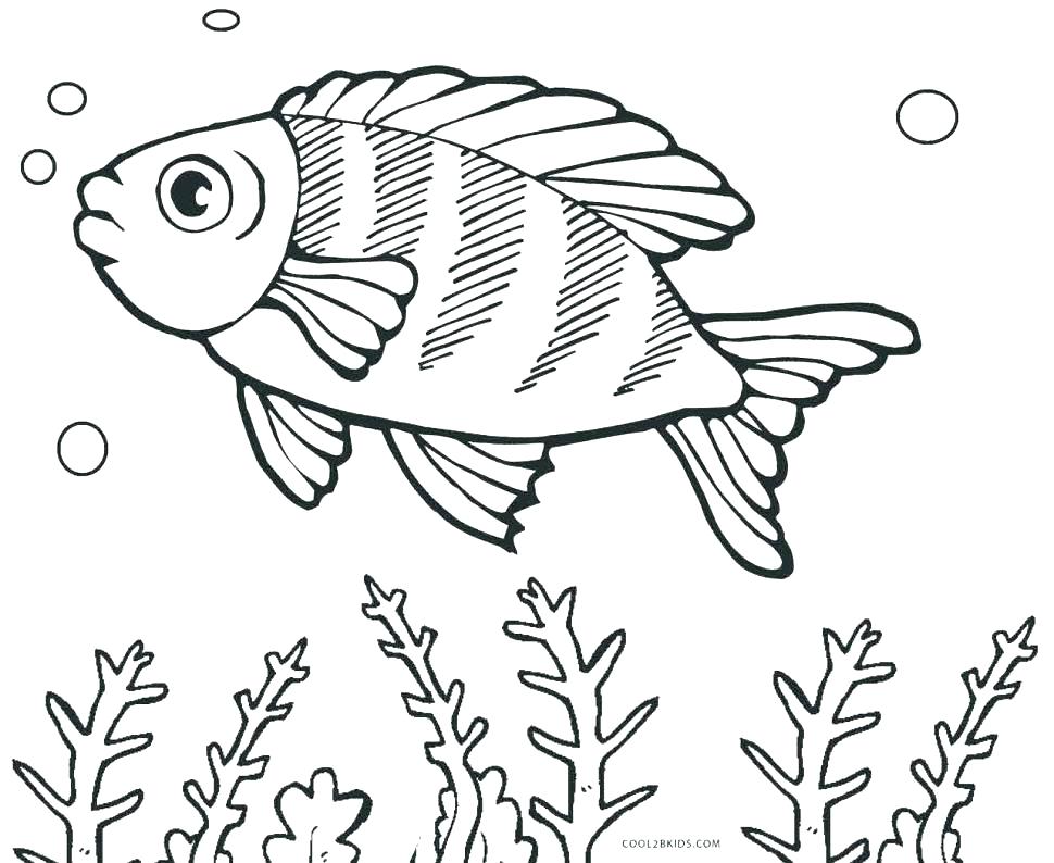 970x794 Fish Template School Fish Template Fish Shape Templates Fish
