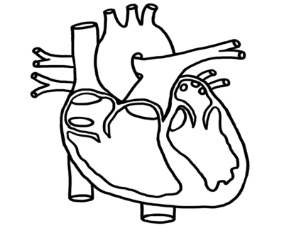 400x322 Beaker Coloring Pages Science Kids