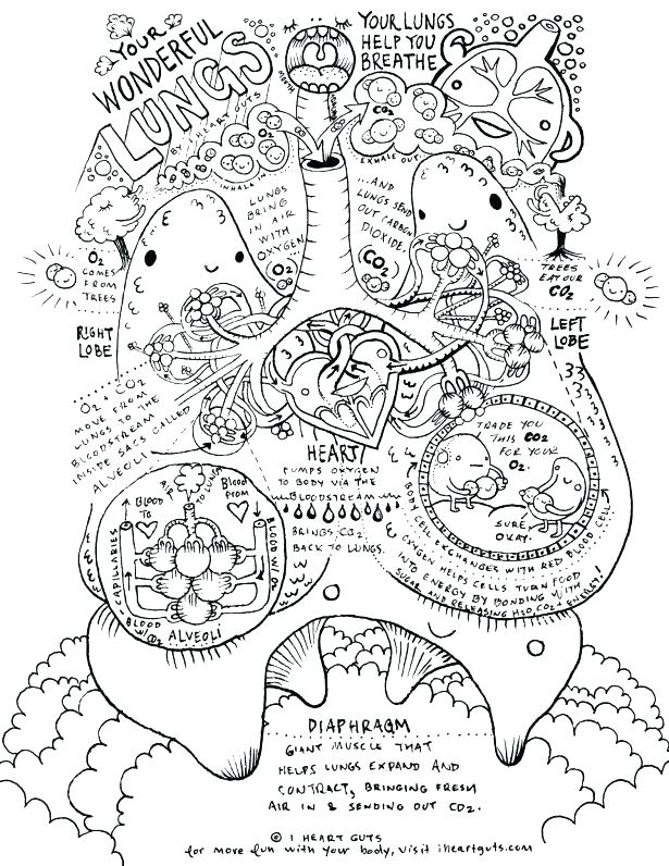 615x796 Science Coloring Page Coloring Pages For Middle School Science