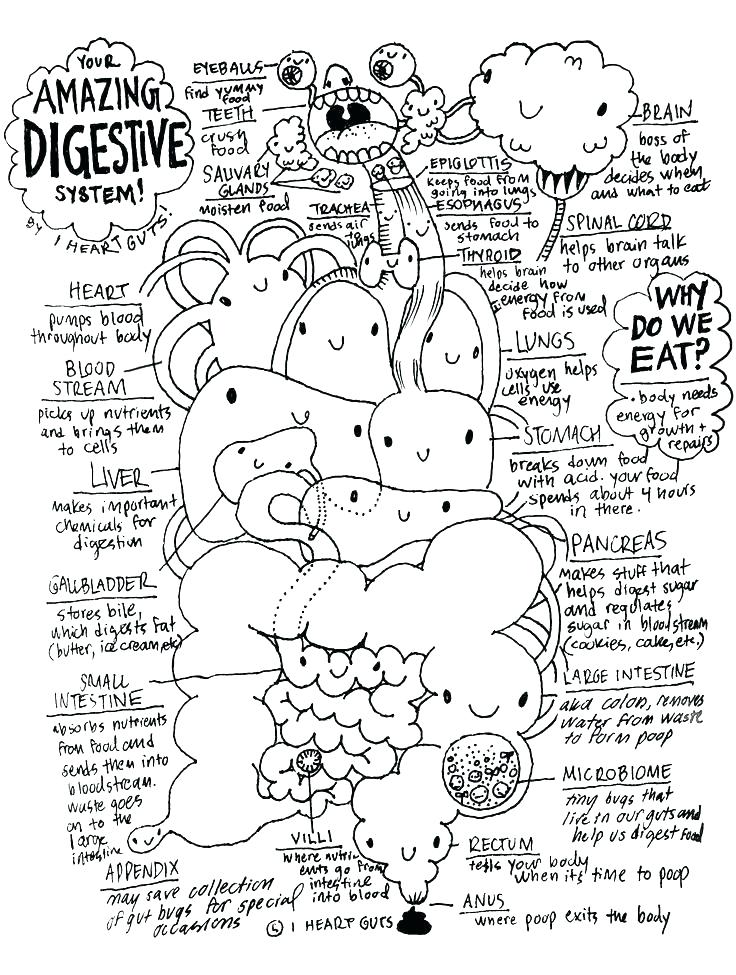 736x975 Science Coloring Pages Science Coloring Pages High School