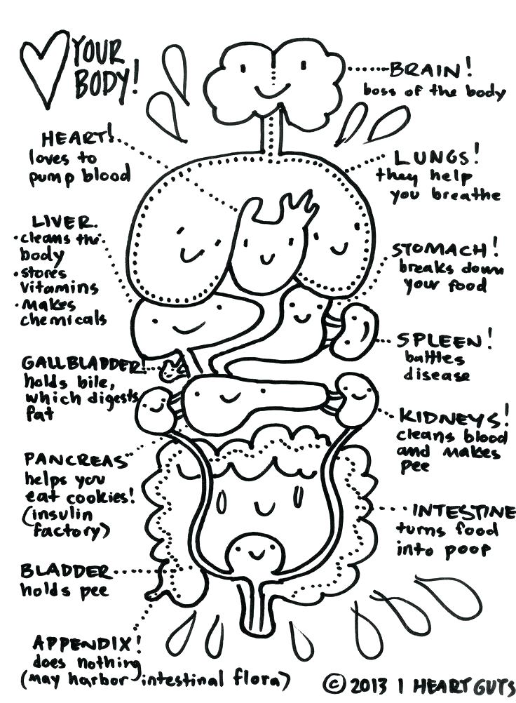 736x1002 Science Coloring Page Science Coloring Pictures Science Coloring