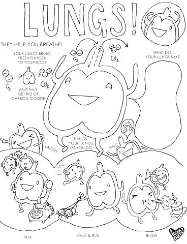 368x480 Grade Coloring Pages Math Color Sheets Pictures Color By Grade