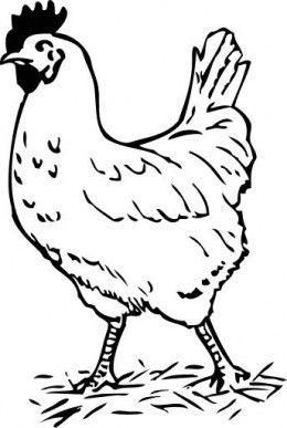 260x387 Free Chicken Coloring Pages Free Chickens, Free Printable