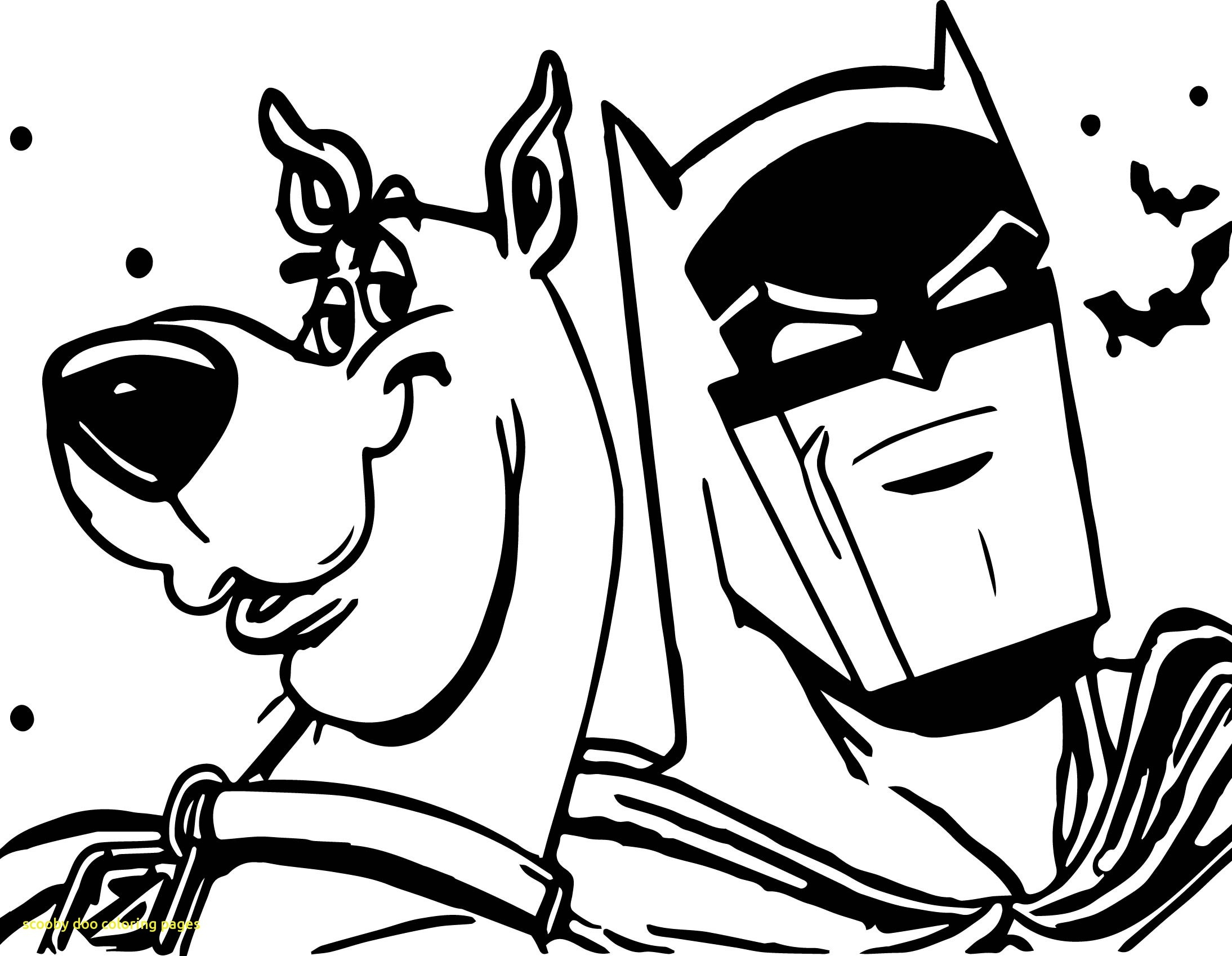 2188x1697 Scooby Doo Decorations Beautiful Imposing Decoration Scooby Doo
