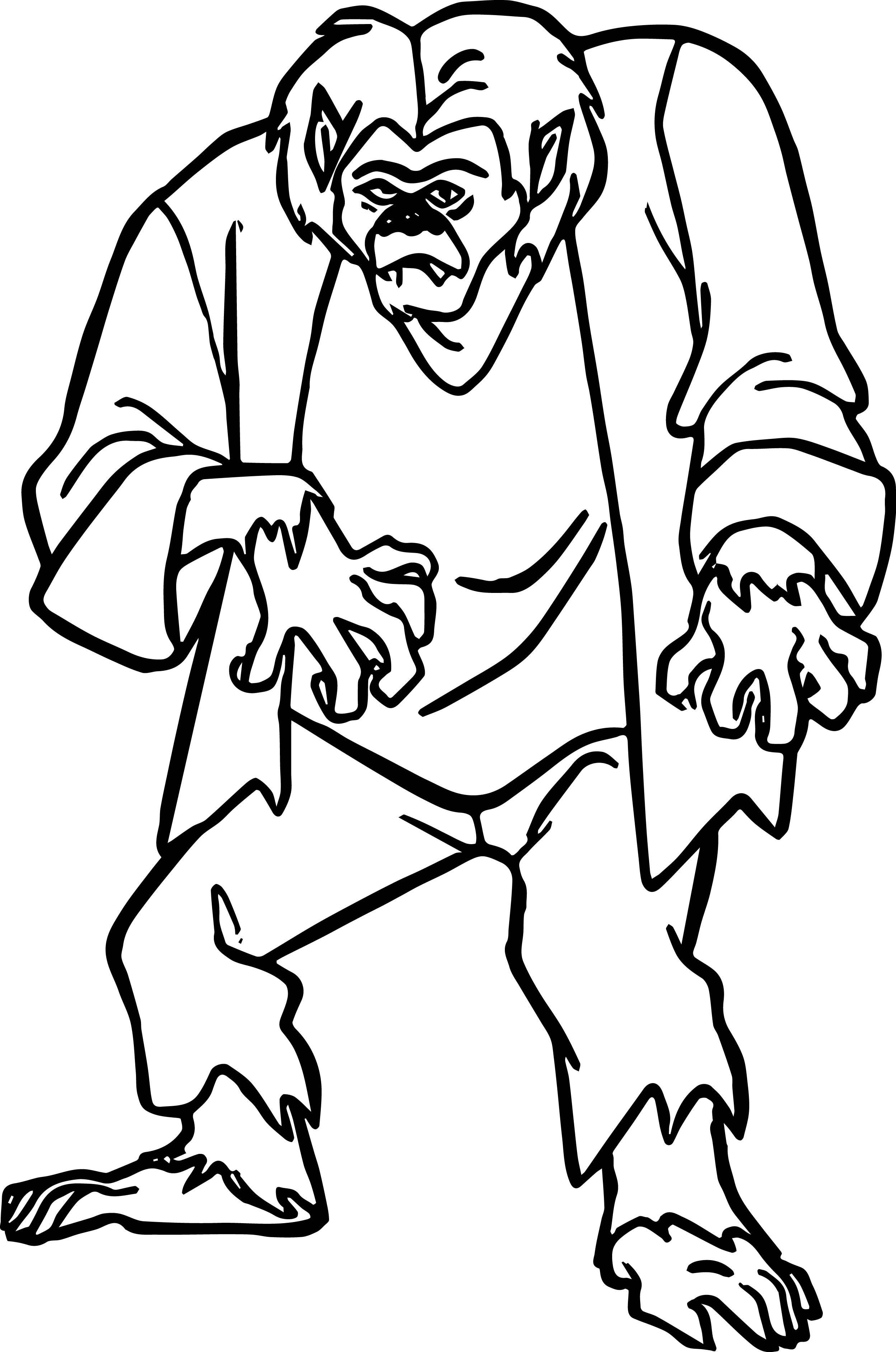 2497x3767 Plain Decoration Scooby Doo Coloring Pages Monster From For Kids