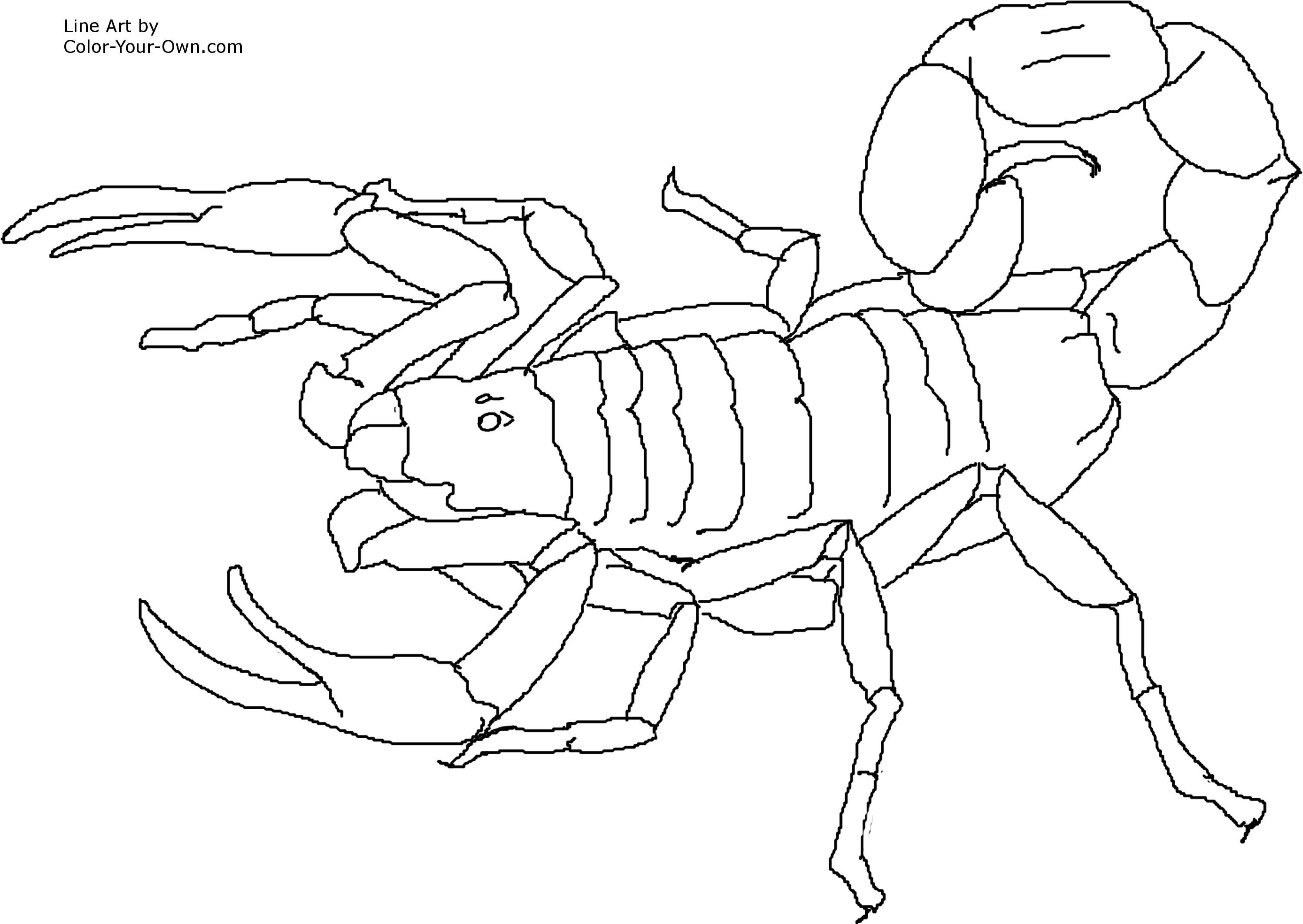 3000x2129 Part 5 Coloring Pages For Kids
