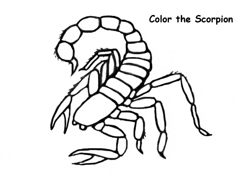 Scorpion Coloring Pages
