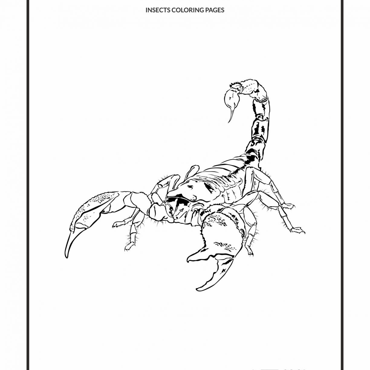 1224x1224 Reptile Coloring Page Free Scorpion Look Real Animals Printable