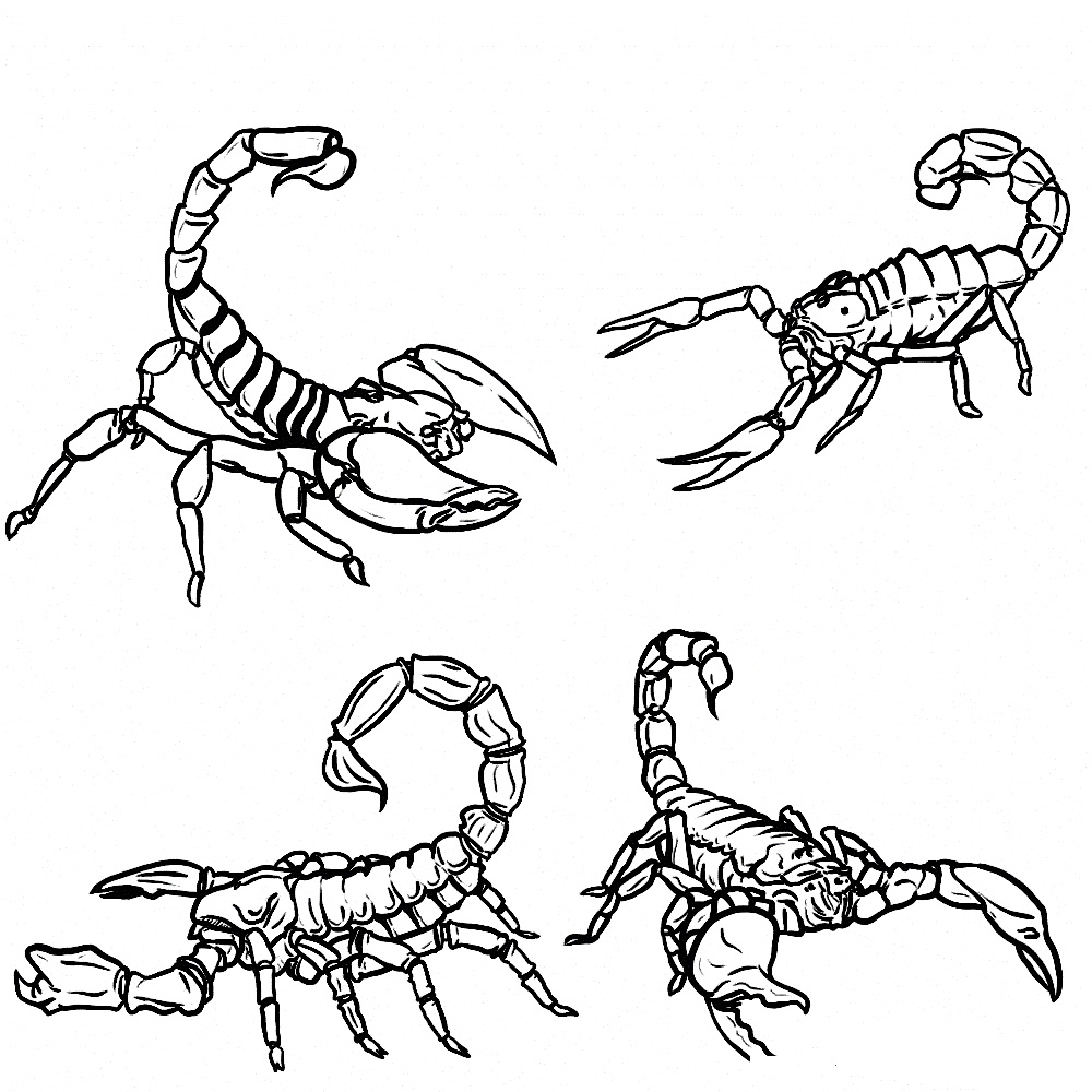 1000x1000 28 Scorpion Coloring Pages Printable Free Coloring Pages