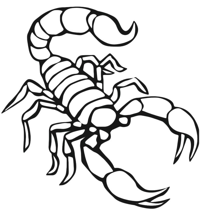 816x881 Scorpion Coloring Pages To Print For Scorpion Coloring Page