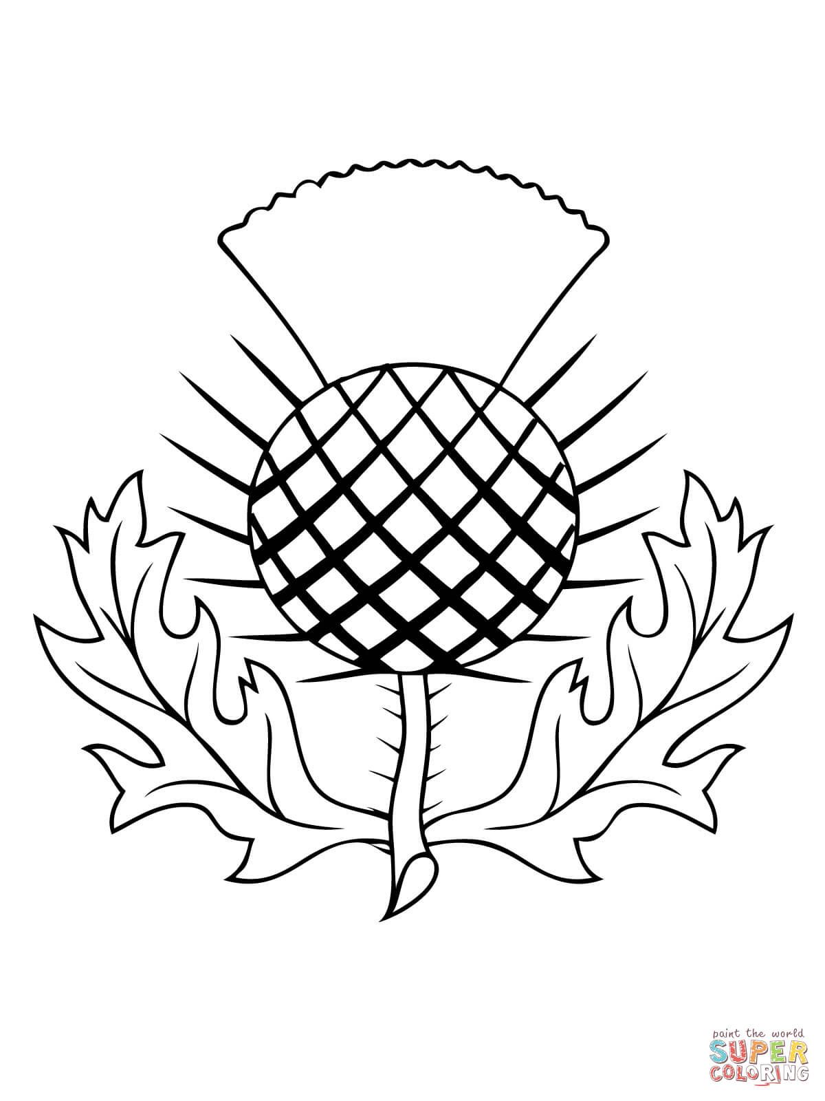 1200x1600 The Thistle Of Scotland Coloring Page Free Printable Coloring