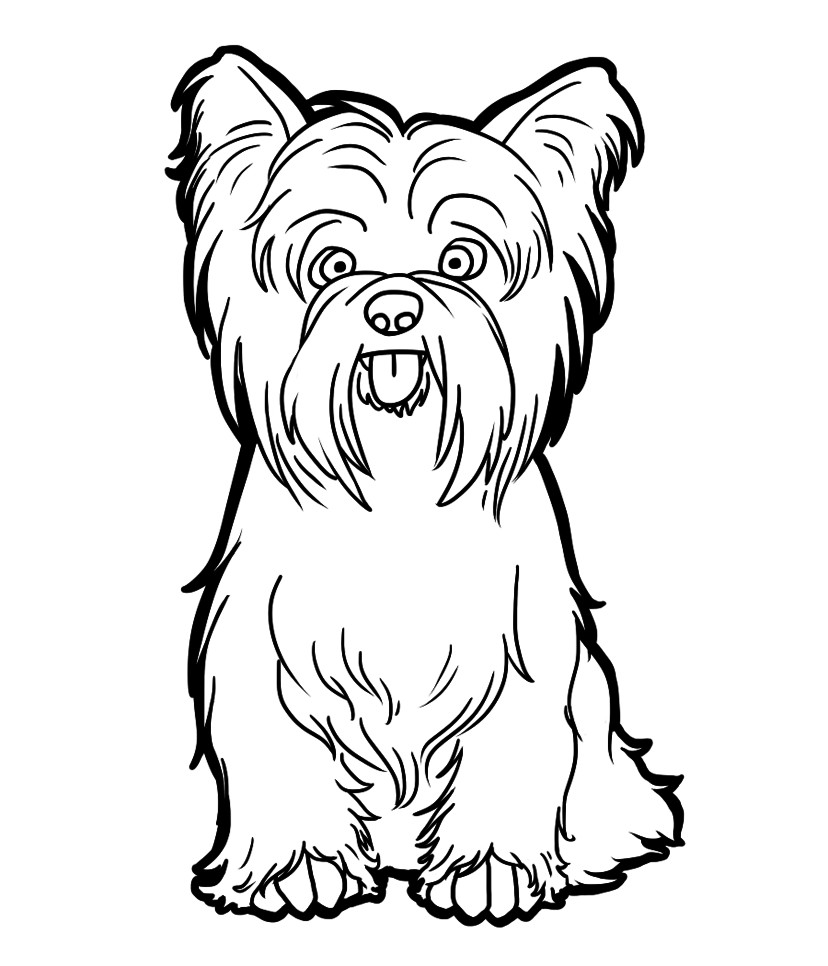Scottish Terrier Coloring Pages