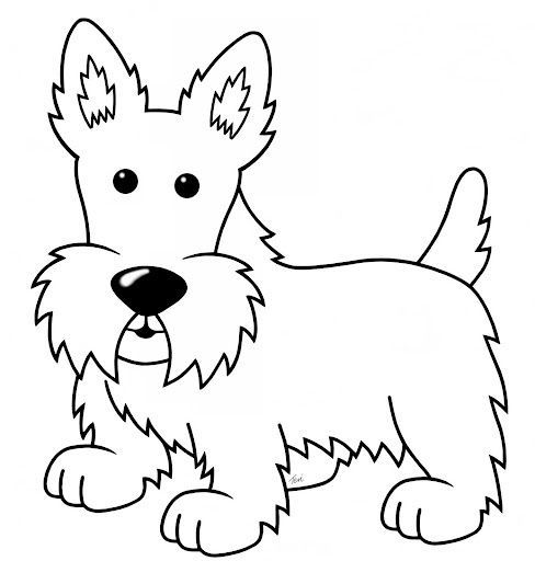 488x512 Pin By Betsy Stevens On Scottie Scottish Terrier