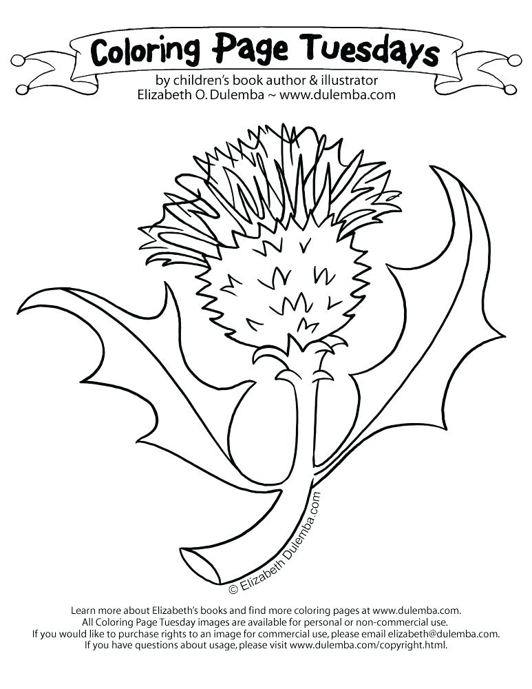 773x1000 Scottish Coloring Pages Coloring Page Use 8 1 2 X Paper Scottish