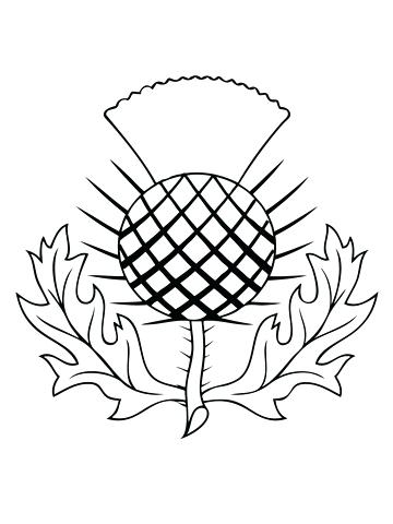 360x480 Scottish Coloring Pages Coloring Pages Scottish Terrier Coloring