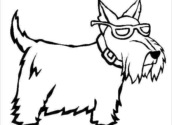 585x425 Scottie Dog Coloring Page 15 Scottie Dog Templates Crafts