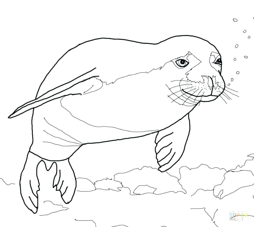 863x773 Coloring Download Revere Page With Pages Revere Coloring Baby