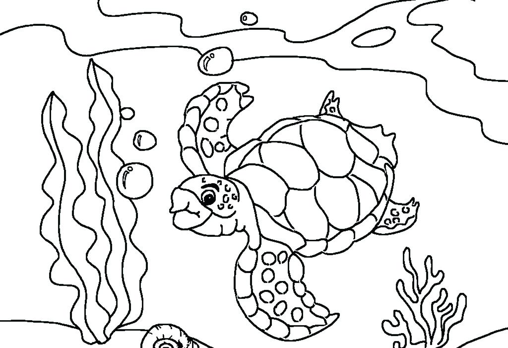 1024x701 Ocean Habitat Coloring Pages Sea Turtles Coloring Pages Ocean