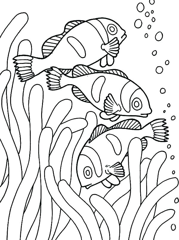 600x804 Sea Anemone Colouring Page Coloring Pages Under The Colorful Coral