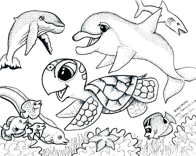 640x509 Sea Anemone Colouring Page Urchin Coloring Jellyfish For Jelly