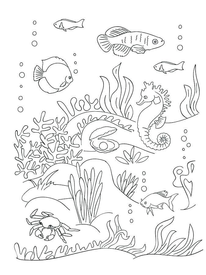 675x900 Seaweed Coloring Pages Sea Anemone Coloring Page Seaweed Coloring