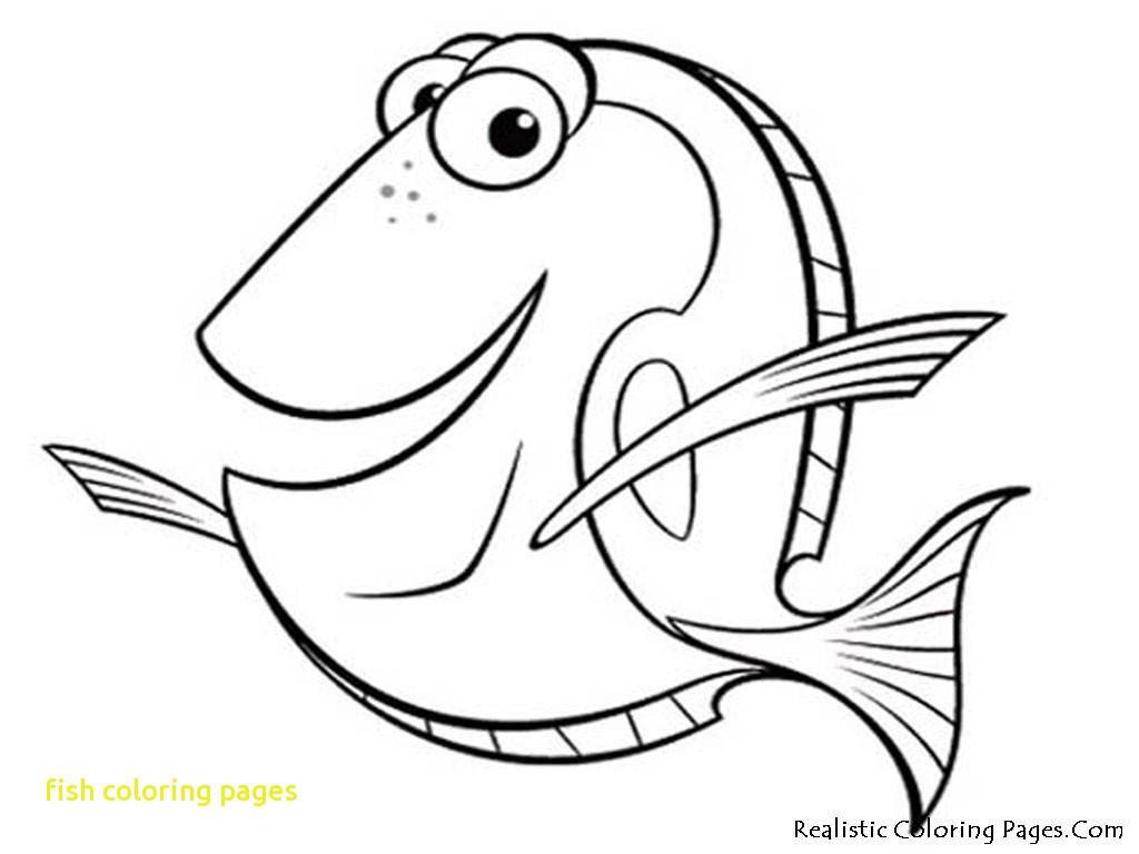 1024x768 Terrific Fish Colouring Picture Sea Anemone Coloring Pages