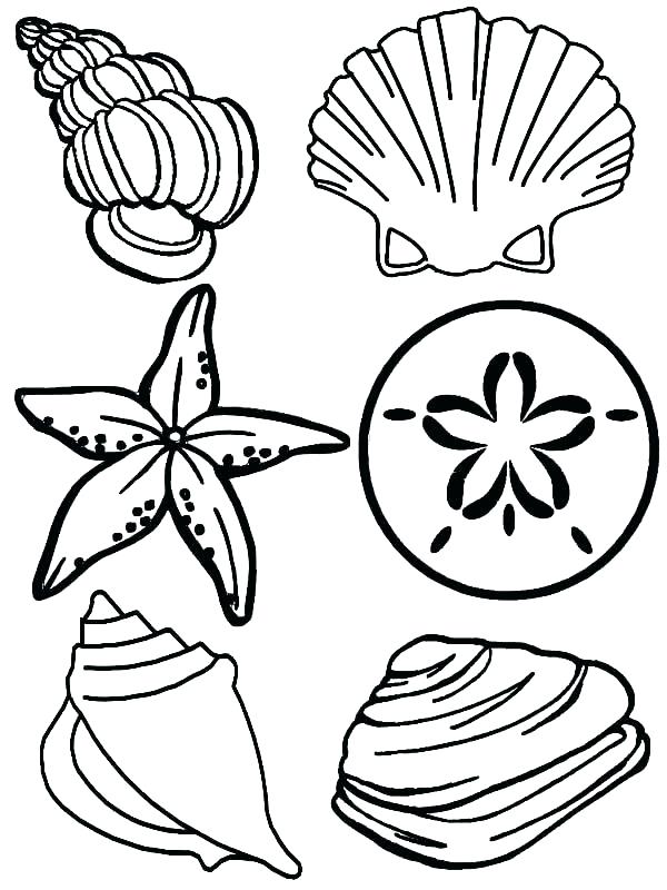 600x800 Sea Animal Coloring Pages Coloring Pages Sea Animals Sea Animal