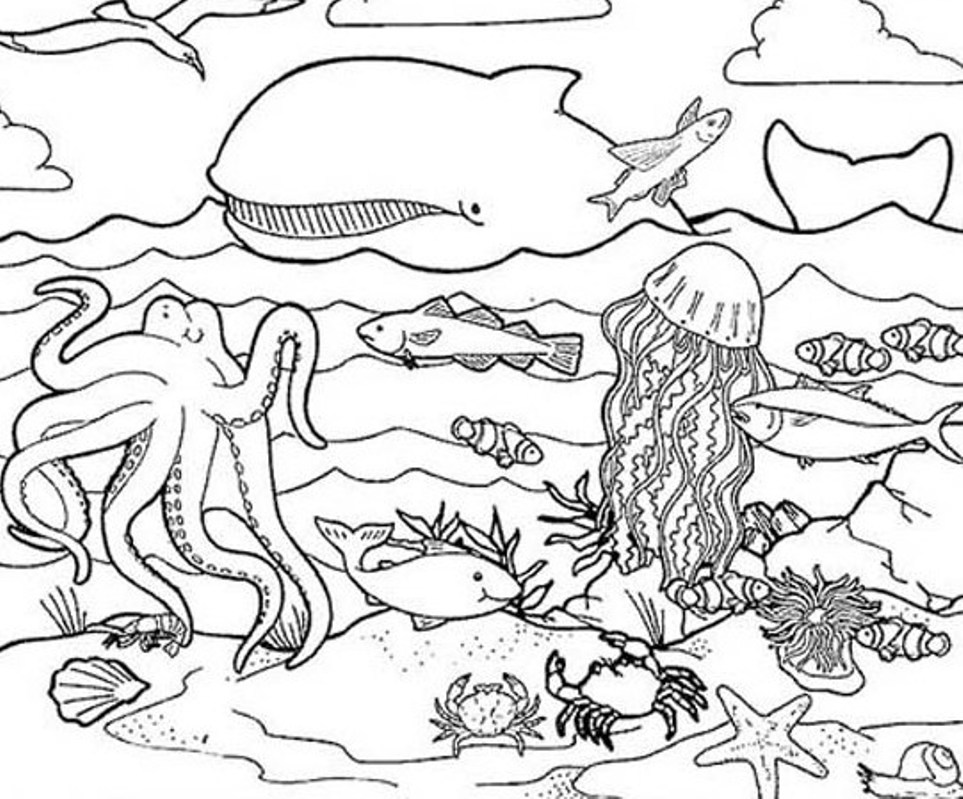 963x799 All Animals Coloring Pages Download And Print For Free