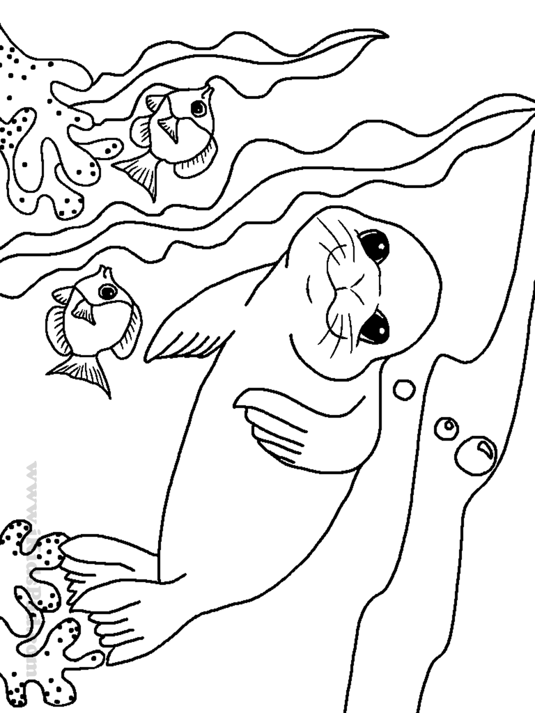 768x1024 Sea Animal Coloring Pages To Download And Print For Free