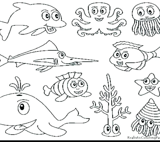 678x600 Coloring Pages Sea Animals Coloring Pages Sea Animals Coloring